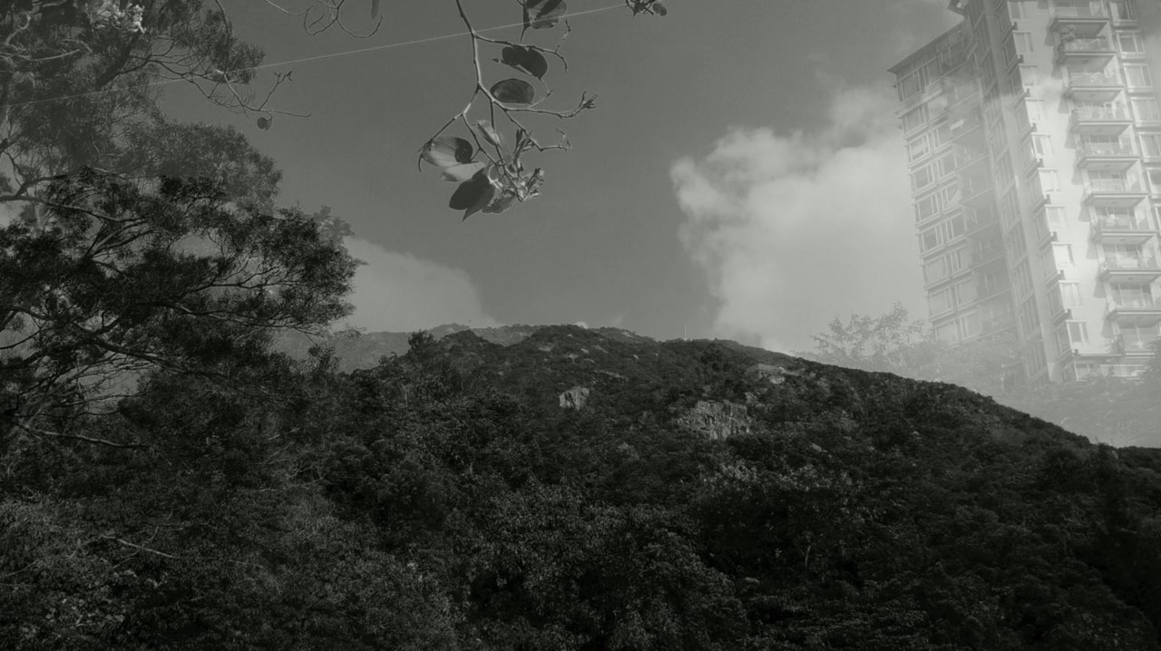 上一座山 Climbing up a mountain