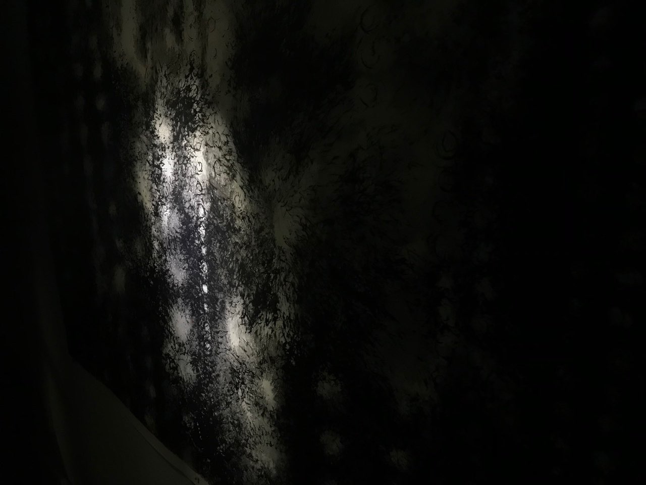 逆光 Light in the Dark