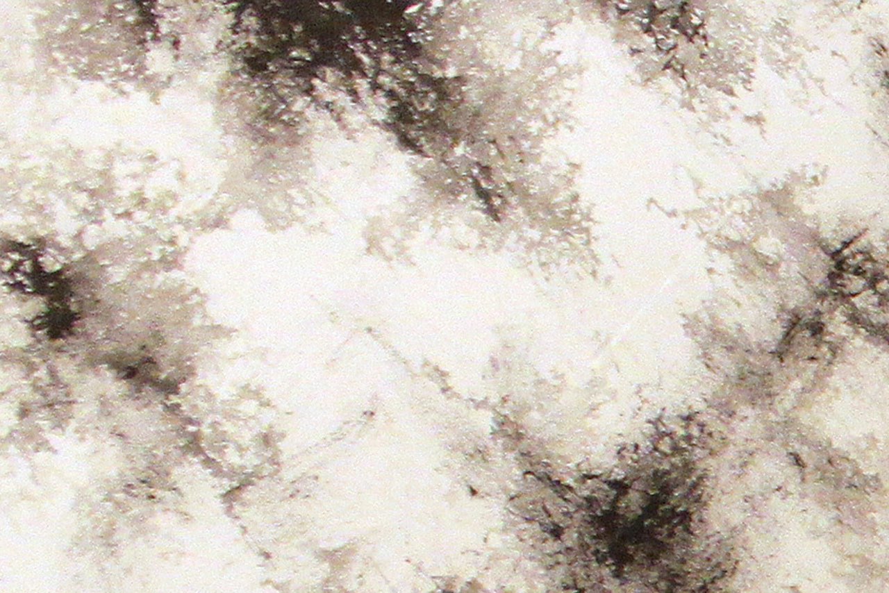 逆光（組合 7）